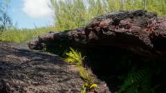 La Reunion copyright piotr nogal 20191207_093322