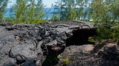 La Reunion copyright piotr nogal 20191207_093408