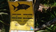 La Reunion copyright piotr nogal 20191207_101214
