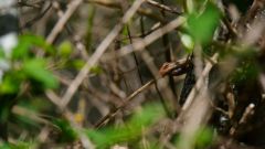 La Reunion copyright piotr nogal 20191210_100152