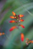 La Reunion copyright piotr nogal 20191211_080702