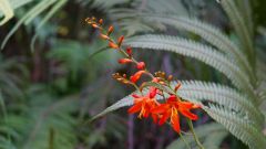 La Reunion copyright piotr nogal 20191211_080734