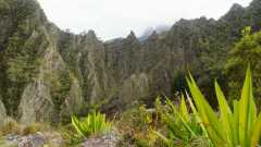 La Reunion copyright piotr nogal 20191212_082836
