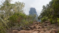 La Reunion copyright piotr nogal 20191212_121329