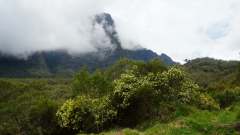La Reunion copyright piotr nogal 20191212_121428