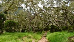 La Reunion copyright piotr nogal 20191212_122351