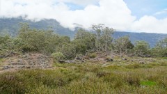 La Reunion copyright piotr nogal 20191212_125418