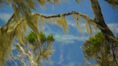 La Reunion copyright piotr nogal 20191213_082145