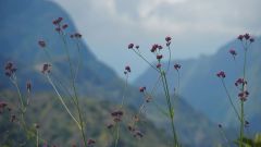 La Reunion copyright piotr nogal 20191213_100404