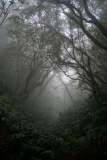 La Reunion copyright piotr nogal 20191214_180359