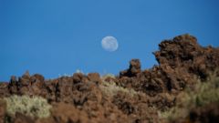 La Reunion copyright piotr nogal 20191215_060847
