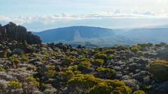 La Reunion copyright piotr nogal 20191215_062608
