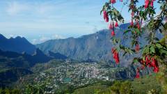 La Reunion copyright piotr nogal 20191215_075138