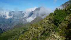 La Reunion copyright piotr nogal 20191215_075826 La Reunion copyright piotr nogal 20191215_075826