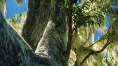 La Reunion copyright piotr nogal 20191215_075956 La Reunion copyright piotr nogal 20191215_075956