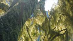 La Reunion copyright piotr nogal 20191215_080021 La Reunion copyright piotr nogal 20191215_080021