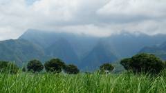 La Reunion copyright piotr nogal 20191216_122112 La Reunion copyright piotr nogal 20191216_122112