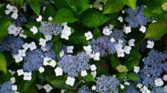 La Reunion copyright piotr nogal 20191216_164208 La Reunion copyright piotr nogal 20191216_164208