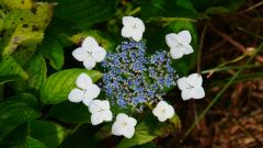 La Reunion copyright piotr nogal 20191216_170049 La Reunion copyright piotr nogal 20191216_170049