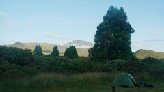 La Reunion copyright piotr nogal 20191217_060153 La Reunion copyright piotr nogal 20191217_060153