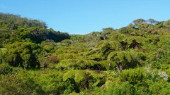 La Reunion copyright piotr nogal 20191217_073401 La Reunion copyright piotr nogal 20191217_073401