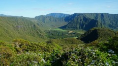 La Reunion copyright piotr nogal 20191217_073716 La Reunion copyright piotr nogal 20191217_073716