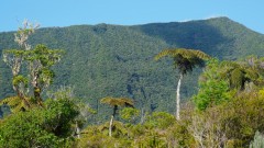 La Reunion copyright piotr nogal 20191217_082853 La Reunion copyright piotr nogal 20191217_082853