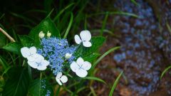 La Reunion copyright piotr nogal 20191217_084546