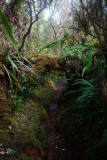 La Reunion copyright piotr nogal 20191217_092208 La Reunion copyright piotr nogal 20191217_092208