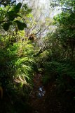 La Reunion copyright piotr nogal 20191217_093019 La Reunion copyright piotr nogal 20191217_093019