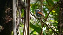 La Reunion copyright piotr nogal 20191217_093415 La Reunion copyright piotr nogal 20191217_093415