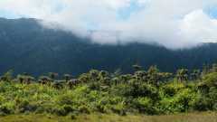 La Reunion copyright piotr nogal 20191217_094950 La Reunion copyright piotr nogal 20191217_094950