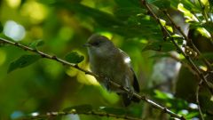 La Reunion copyright piotr nogal 20191217_095056 La Reunion copyright piotr nogal 20191217_095056