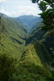 La Reunion copyright piotr nogal 20191217_100609 La Reunion copyright piotr nogal 20191217_100609