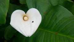 La Reunion copyright piotr nogal 20191217_101022 La Reunion copyright piotr nogal 20191217_101022