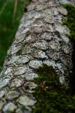 La Reunion copyright piotr nogal 20191217_101102 La Reunion copyright piotr nogal 20191217_101102