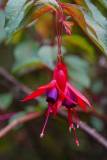 La Reunion copyright piotr nogal 20191217_104531 La Reunion copyright piotr nogal 20191217_104531