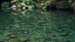 La Reunion copyright piotr nogal 20191217_105208 La Reunion copyright piotr nogal 20191217_105208