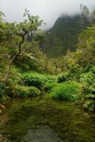 La Reunion copyright piotr nogal 20191217_110046 La Reunion copyright piotr nogal 20191217_110046