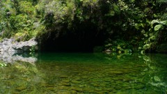 La Reunion copyright piotr nogal 20191217_110452 La Reunion copyright piotr nogal 20191217_110452