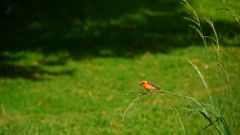 La Reunion copyright piotr nogal 20191217_155934