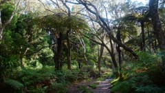 La Reunion copyright piotr nogal 20191218_071733 La Reunion copyright piotr nogal 20191218_071733