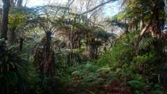La Reunion copyright piotr nogal 20191218_071923 La Reunion copyright piotr nogal 20191218_071923