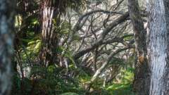 La Reunion copyright piotr nogal 20191218_071949 La Reunion copyright piotr nogal 20191218_071949