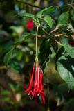 La Reunion copyright piotr nogal 20191218_073321 La Reunion copyright piotr nogal 20191218_073321
