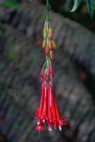 La Reunion copyright piotr nogal 20191218_073504 La Reunion copyright piotr nogal 20191218_073504