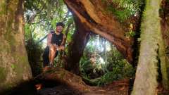 La Reunion copyright piotr nogal 20191218_075838 La Reunion copyright piotr nogal 20191218_075838