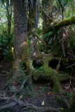 La Reunion copyright piotr nogal 20191218_080751 La Reunion copyright piotr nogal 20191218_080751