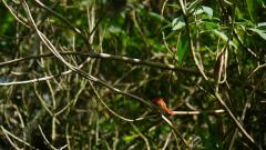 La Reunion copyright piotr nogal 20191218_091600 La Reunion copyright piotr nogal 20191218_091600