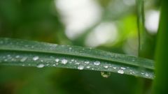 La Reunion copyright piotr nogal 20191218_093025 La Reunion copyright piotr nogal 20191218_093025